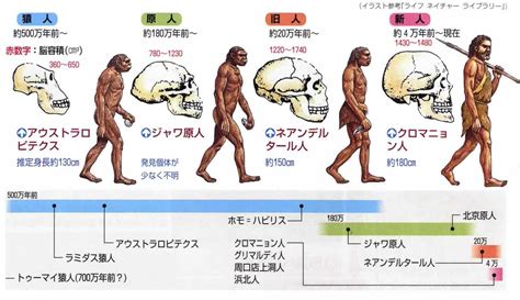 旧人 意味|旧人類(キュウジンルイ)とは？ 意味や使い方